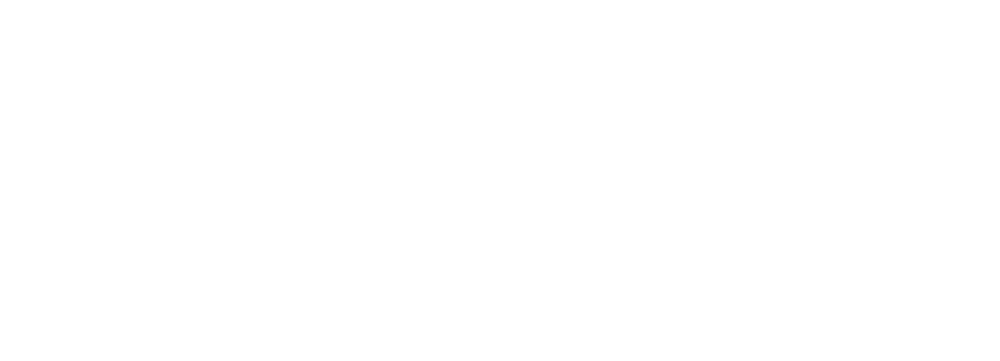 SSR SYSTEMS Logo
